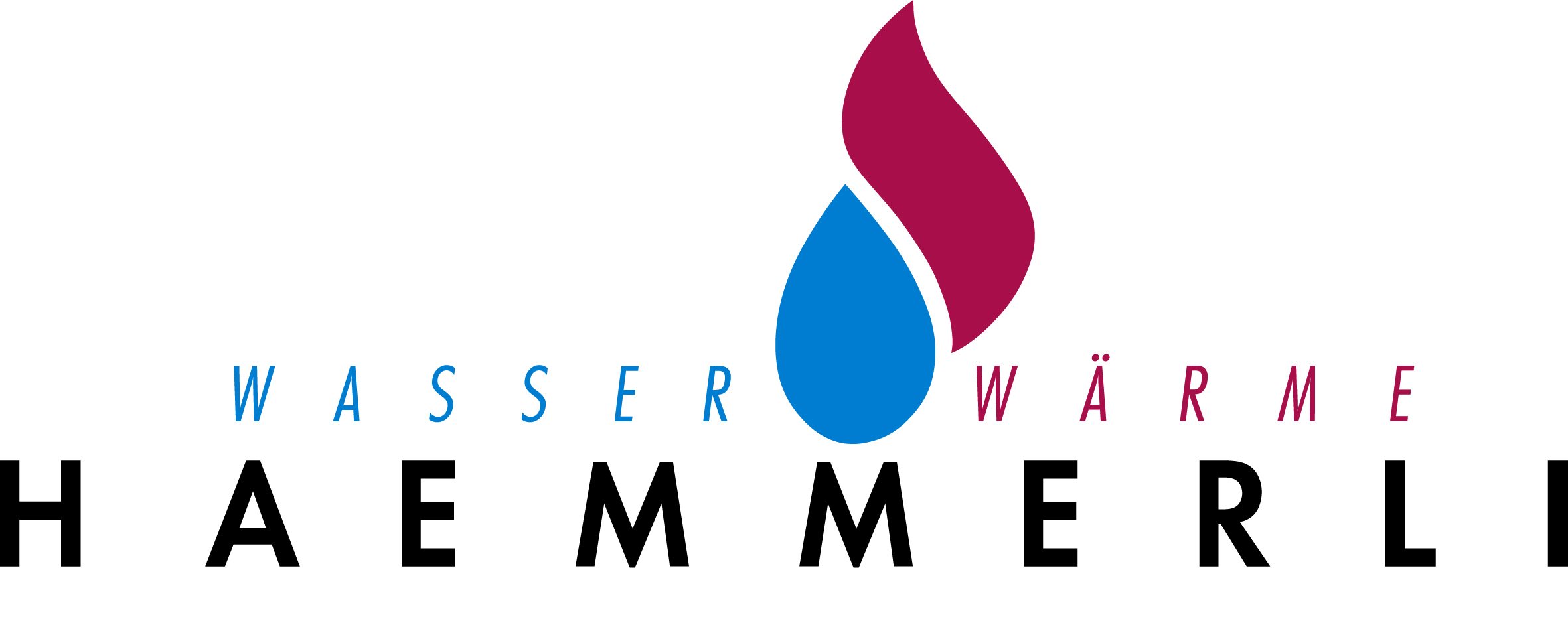 Othmar Hämmerli AG Logo
